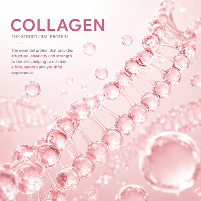 Collagen